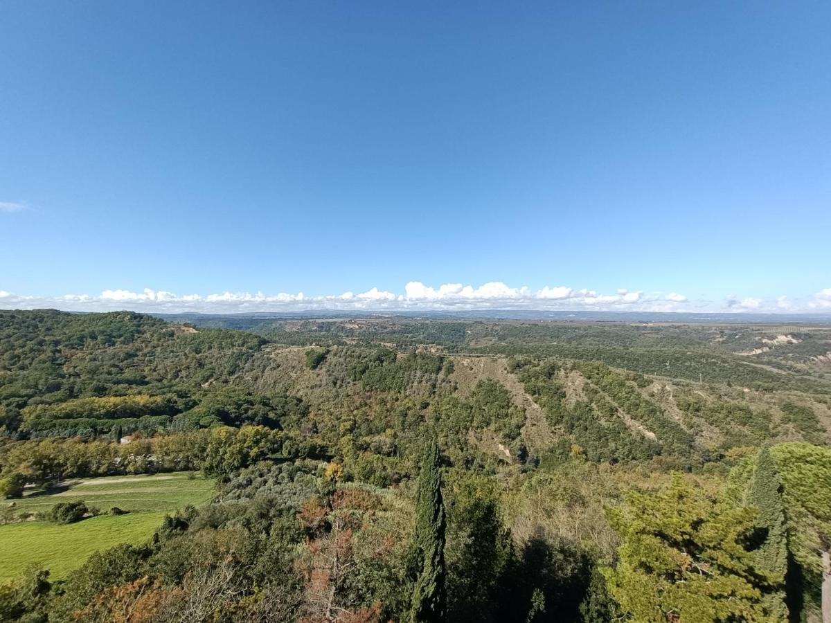B&B Il Grifo Бомарцо Экстерьер фото